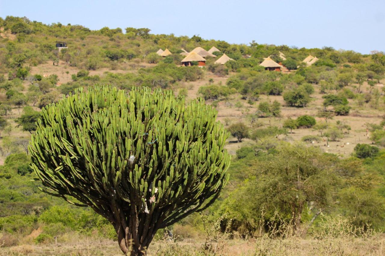 Africa Safari Maasai Boma Camping Serengeti Exterior foto